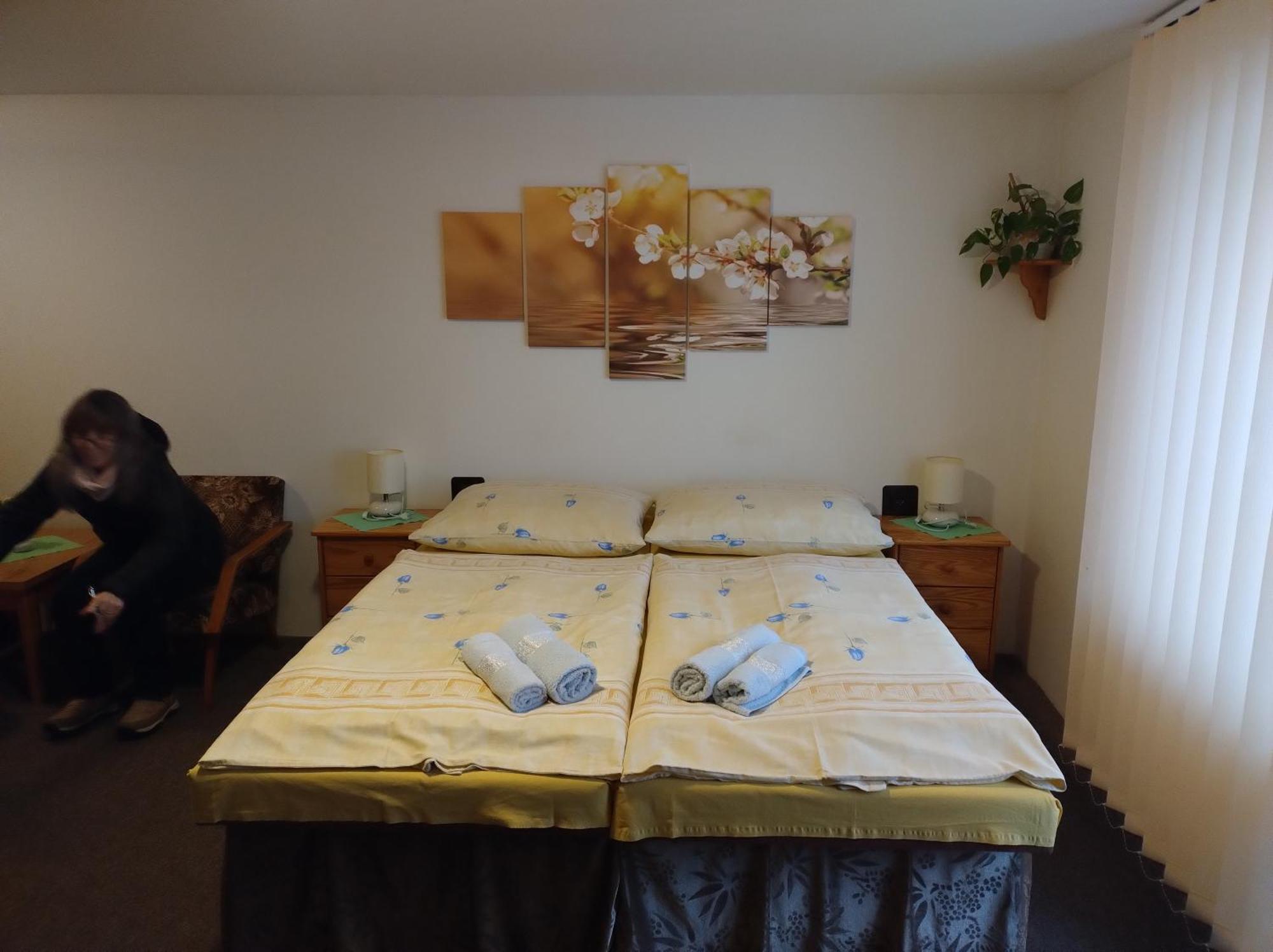 Rekreacny Dom Bystra Apartment Bagian luar foto